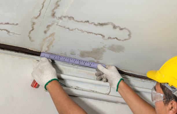 Reliable Flood Cleanup contractor in Piermont, NH by Water Damage Irwin